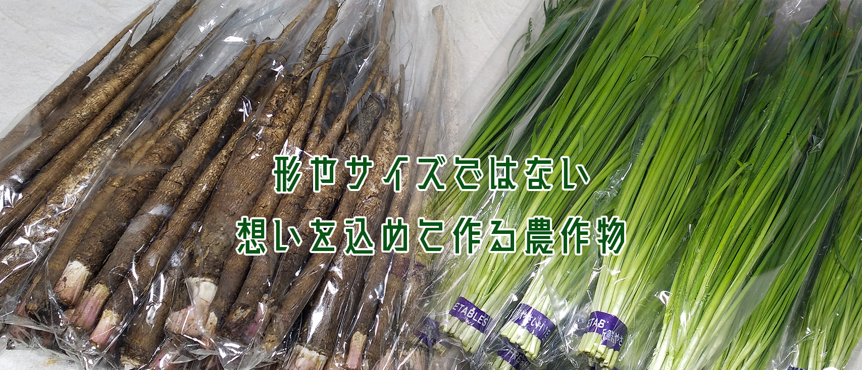 形やサイズではない　想いを込めて作る農作物